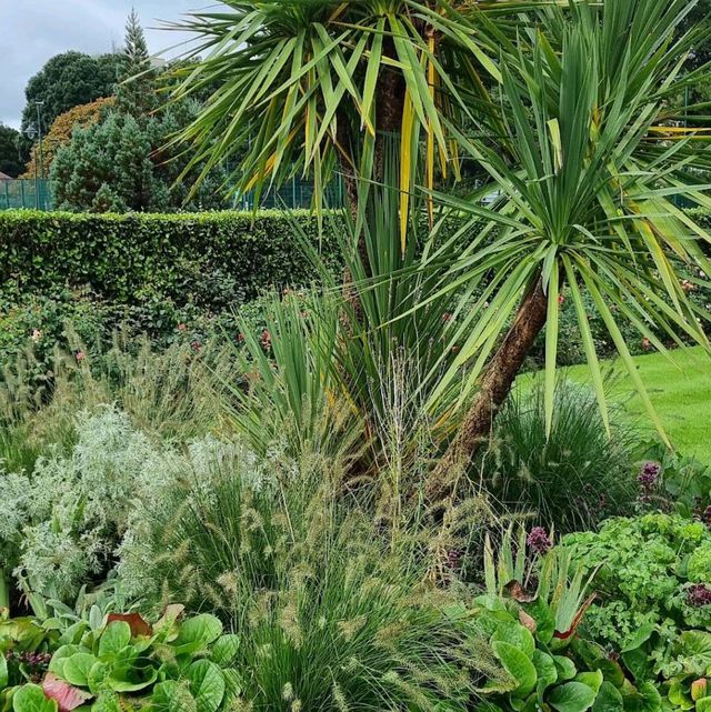Poole Park