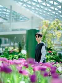 สวนดอกไม้เมืองหนาวระยอง