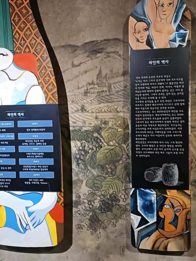 🍷 여름에도 시원한 낭만, 광양 와인동굴의 매력
