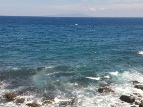 特急サフィール踊り子号に乗って伊豆の美しい海を見よう🚆 | Trip.com