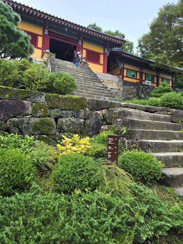 역사의 아름다움이 고스란히 담겨있는 영주여행지🧡