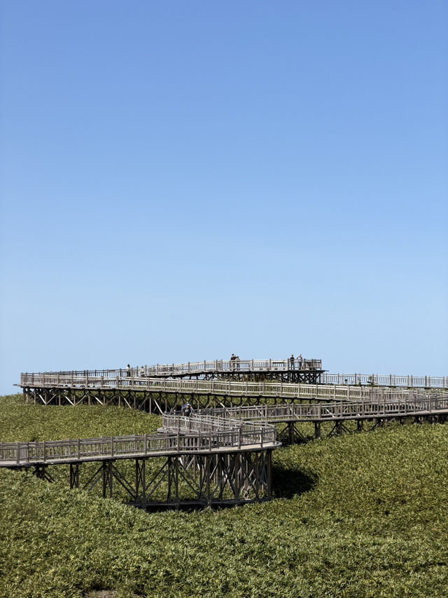 【北海道】人生で一度は行きたい世界自然遺産・知床🌲🦅 【北海道】人生で一度は行きたい世界自然遺産・知床🌲🦅