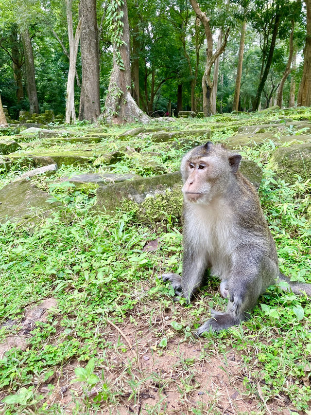 アンコールワット遺跡を巡る時のオススメ🇰🇭 アンコールワット遺跡を巡る時のオススメ🇰🇭