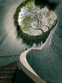 新加坡 4日3晚 游