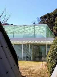 🎨 Seaside Serenity at Yokosuka Museum of Art