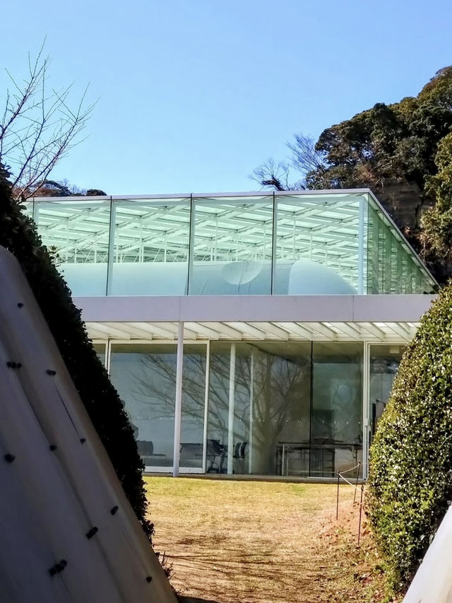 🎨 Seaside Serenity at Yokosuka Museum of Art