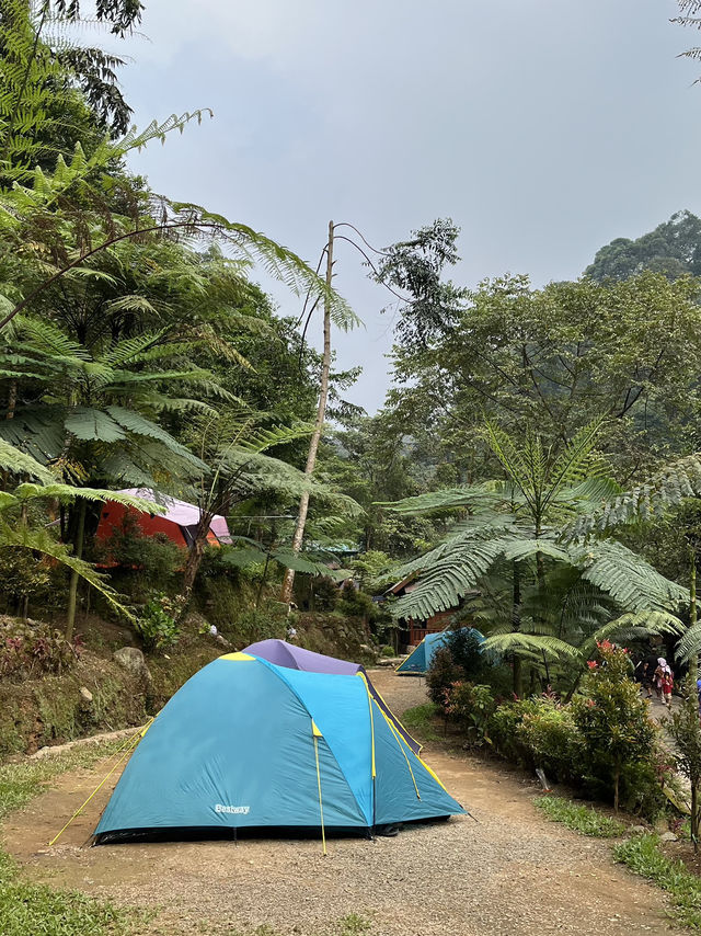 Curug Lembah Tepus - Pamijahan Bogor