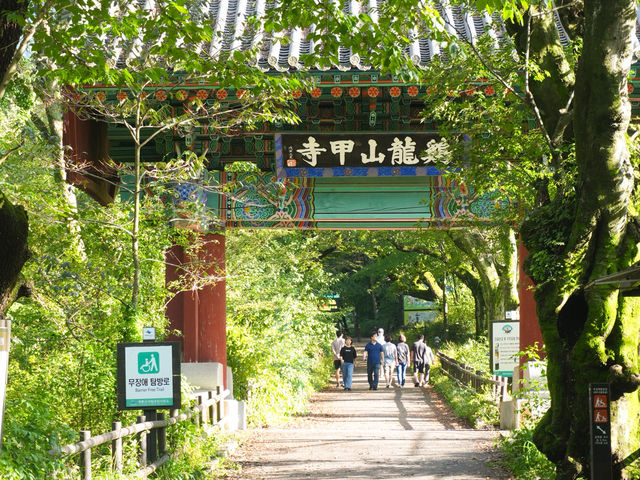 🌿숲 속 자연의 숨결을 느낄 수 있는 계룡산 ‘갑사’ 