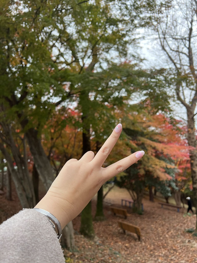  🍁 자산공원 가을 여행 🍁