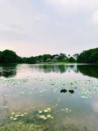 Tranquil Evenings at Taman Tasik Cyberjaya