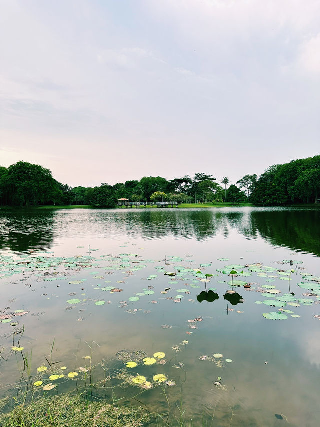 Tranquil Evenings at Taman Tasik Cyberjaya