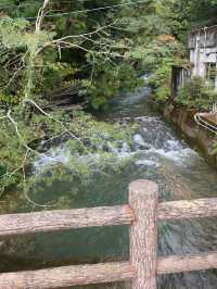 🕳️🌌 Beneath the Earth at Akiyoshido Cave 🌿✨