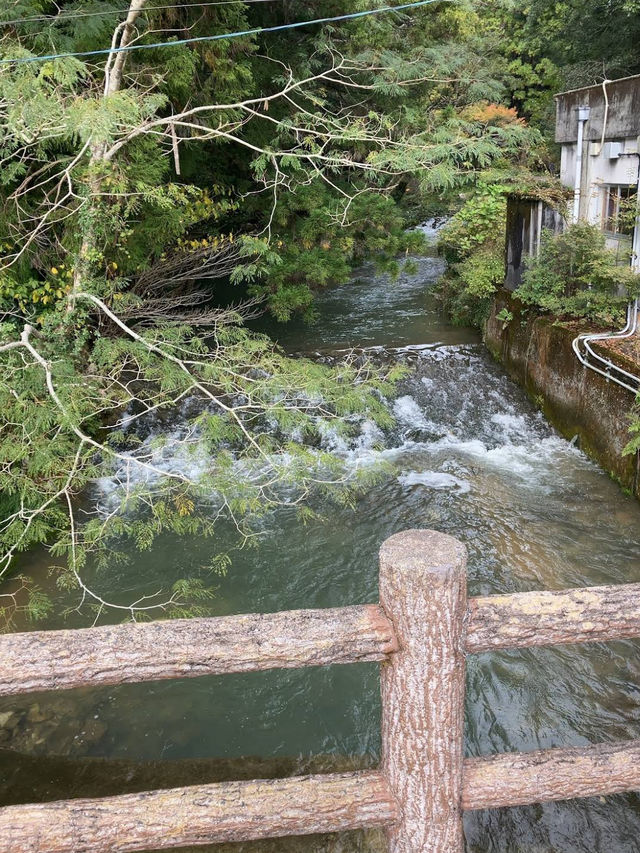 🕳️🌌 Beneath the Earth at Akiyoshido Cave 🌿✨