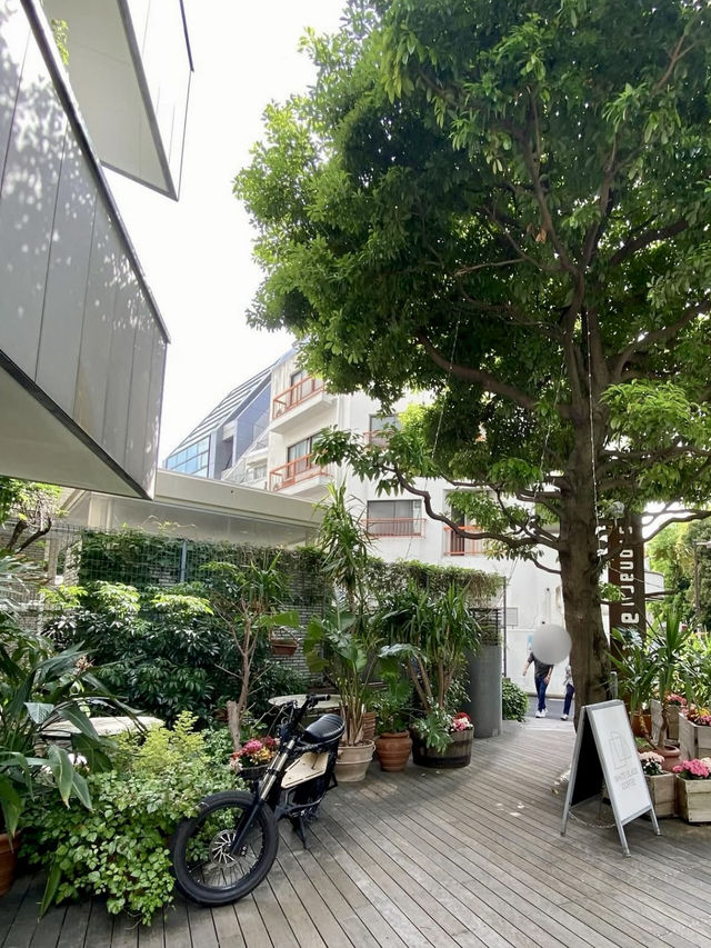Chill Sips in the Middle of Shibuya 🌿 Chill Sips in the Middle of Shibuya 🌿