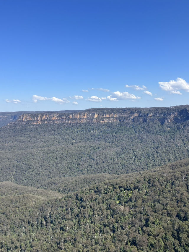 【オーストラリア・ニューサウスウェールズ州】大自然の絶景を感じる「ブルー・マウンテンズ」🏞️🌿🌄