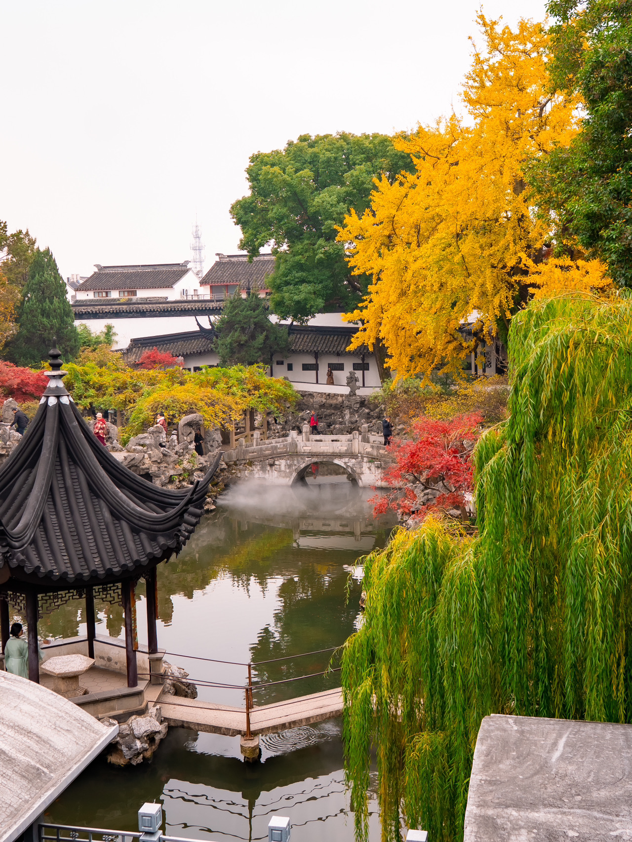 計劃前往蘇州旅行？天啊，你一定要去逛園林！必訪的蘇州園林包括拙政園和留園，兩者皆為著名的聯合國教科文組織世界遺產。其他強烈推薦的園林還有網師園、獅子林和滄浪亭。這些園林以其經典的中國設計聞名，將建築與自然景觀完美融合。