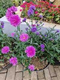 Farmhouse Lembang: European Pastoral Charm and Cuisine