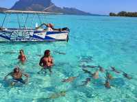 Lagoon Service Bora Bora - The Beat Experience Ever