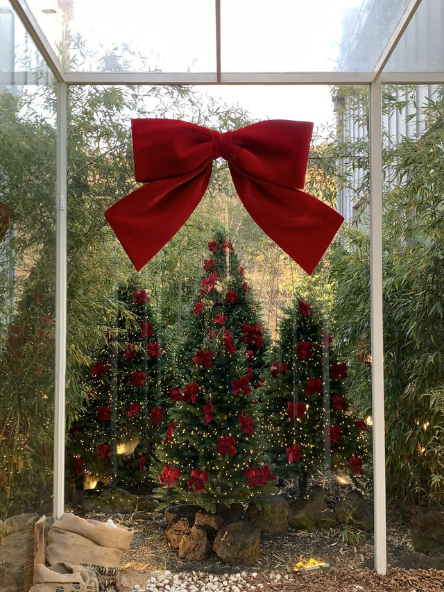 기로띠 카페 기로띠 카페