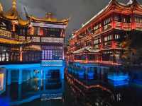 majestic night view of yu garden