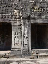 Nature Meets History🌿