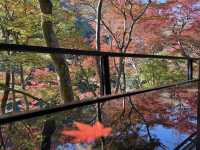 🍁 嵐山深處的秋日詩篇:夢幻祐斎亭遊記