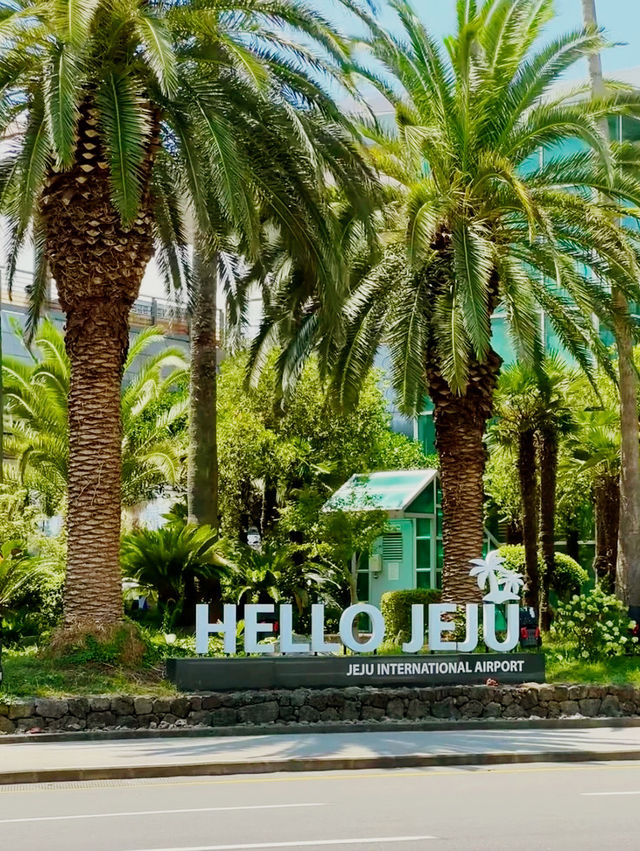 韓國🇰🇷翰林公園