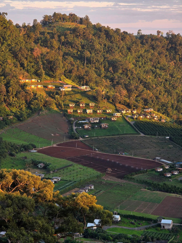 "ผาสามเส้าแคมป์" แม่แตง เชียงใหม่ "ผาสามเส้าแคมป์" แม่แตง เชียงใหม่