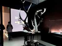 🔶 A Cultural Deep Dive — Chu Civilization in One Afternoon