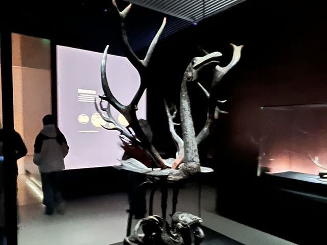 🔶 A Cultural Deep Dive — Chu Civilization in One Afternoon 🔶 A Cultural Deep Dive — Chu Civilization in One Afternoon