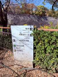 Castle Autumn Vibes🍁