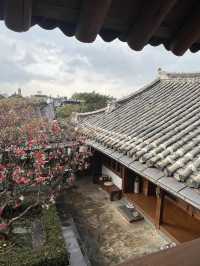 전주 여행, 전주 한옥마을 카페 추천