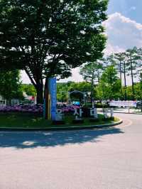 도심 속 자연에게 온전히 기대는 국내 여행 한 페이지