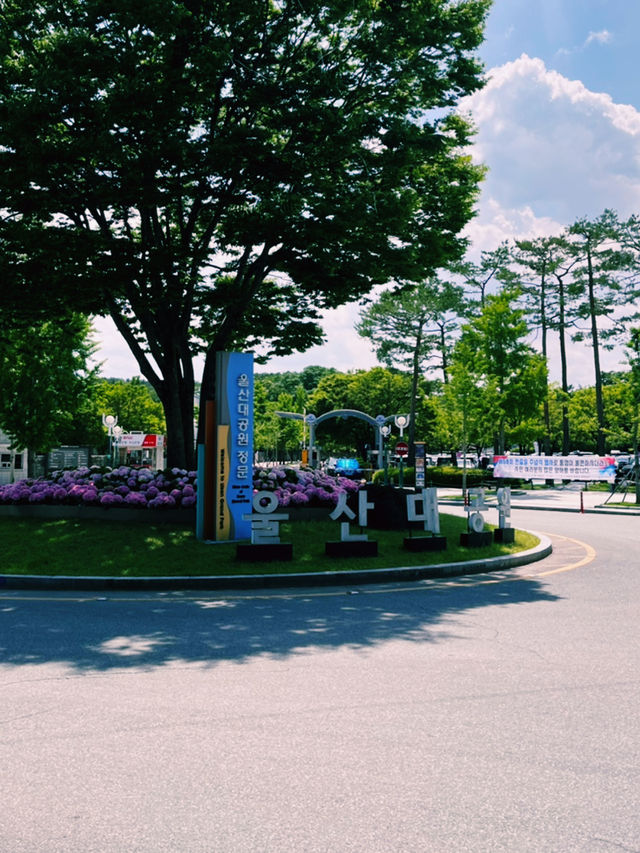 도심 속 자연에게 온전히 기대는 국내 여행 한 페이지