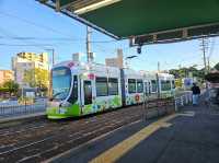 #원폭의 도시 히로시마에는 왜 사슴이 살까?