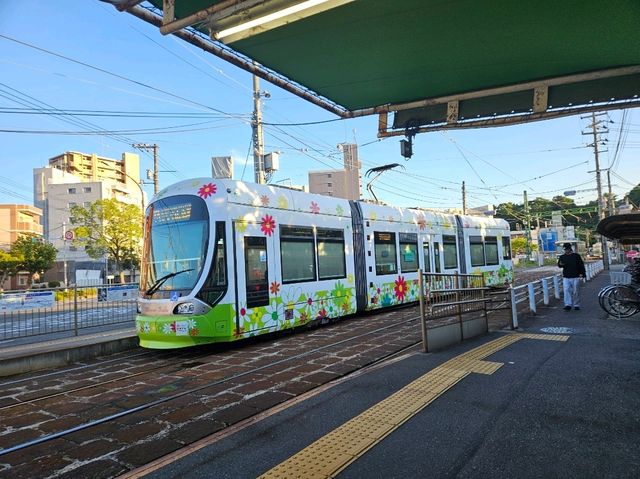 #원폭의 도시 히로시마에는 왜 사슴이 살까?