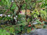 Lalitta Café—Chiang Rai’s Insta-Worthy Flower Wonderland 🌸✨