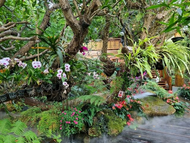 Lalitta Café—Chiang Rai’s Insta-Worthy Flower Wonderland 🌸✨ Lalitta Café—Chiang Rai’s Insta-Worthy Flower Wonderland 🌸✨