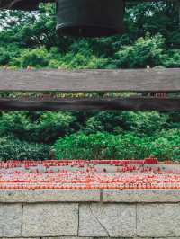 勝尾寺超級可愛滿山達摩!