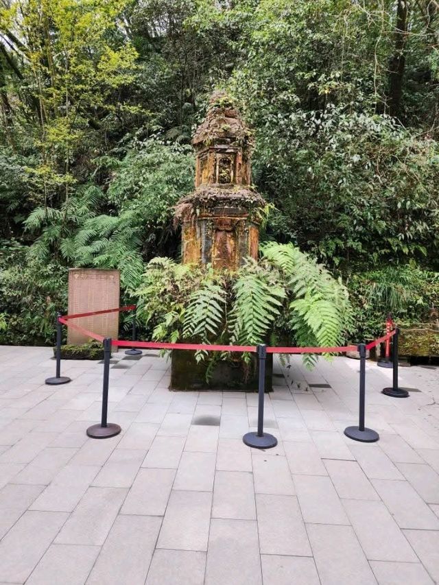 Panda Vibes & Chill Scenes at Chengdu’s Top Park 🐼☕️ Panda Vibes & Chill Scenes at Chengdu’s Top Park 🐼☕️