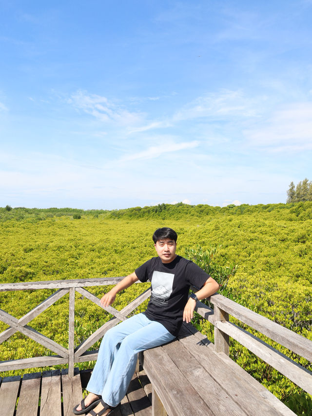 ทุ่งโปรงทอง 🌳 ทุ่งโปรงทอง 🌳