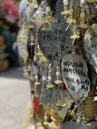 景洪勐泐文化旅遊區必打卡