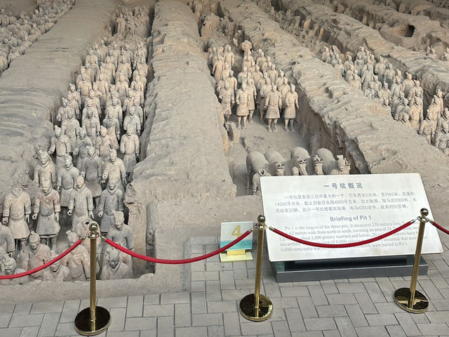 Exhibit Magic Xi'an🏛️ Exhibit Magic Xi'an🏛️
