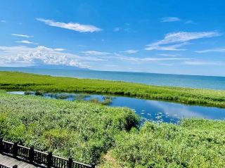 水辺に咲く静かな花々：浜勇知自然花園