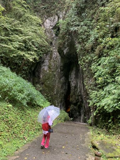 天然記念物 日本最古の鍾乳洞「備中鐘乳穴」 | Trip.com 真庭