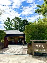 🏯犬山城之深度🪷療癒旅行