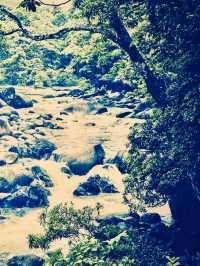 Philippines Negros Mount Kanlaon Mambucal Mossy Hot Spring Park