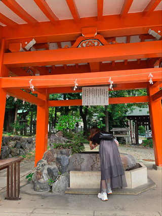 犬山市一早遊:犬山城+三光稻荷神社+針綱神社半日攻略
如果你想尋找一個充滿歷史、文化同日式美食嘅小鎮,犬山市就係絕佳選擇。今次特意揀咗犬山市,鄰近名古屋犬山站,行路大約十分鐘就有得玩,方便逗留半日。這裡交通便利,適合上午遊覽,仲有美食街滿足你食嘢慾望!
遊玩路線建議:
由犬山站出發,建議早一點出門,因為假日人流較多。首先直奔犬山城,參觀日本現存最古老嘅木造天守,感受江戶時代風情。之後順路遊覽三光稻荷神社和針綱神社,品嚐美食街特色小吃,全程都係步行,輕鬆愉快。
必玩項目及打卡位:
犬山城(Kitakoken-65-2 Inuyama, Aichi 484-0082日本),09:00-17:00開放(16:30停止入場),入城後可登上天守,俯瞰木曾川及犬山市全景,是必拍打卡位,城樓下還有復古街道,適合輕鬆散步。
三光稻荷神社(Kitakoken-65ー18 Inuyama, Aichi 484-0082日本),08:30-16:30開放,每年四季都適合參觀,紅色鳥居超吸睛,還有可愛狐狸繪馬,是日本人氣祈福打卡地之一。
針綱神社(愛知縣犬山市大字犬山字北古券65-1),09:00-17:00開放,神社環境幽雅,有祭典時特別熱鬧,可祈求安全、健康、學業。
美食街貼士:
犬山城外附近有一條美食街,推介小吃有抹茶雪糕、赤味噌田樂、鮮蝦丸等,不妨邊走邊食,品嚐當地風味。部分店家上午會有較短等候時間,建議早上行程先食再參觀。
遊玩貼士:
1. 犬山市步行路線清晰,建議穿舒適鞋,輕鬆走完全程。
2. 假日人流多,如想避開人潮,可提早出門,9點左右到達最好。
3. 神社參觀記得尊重禮儀,入境隨俗。
4. 犬山城樓梯較陡,建議慢行,切勿穿高跟鞋。
5. 美食街街頭多小吃店,有些主打季節限定,記得留意營業時間。
注意事項:
犬山城每年12月29日至31日不開放,計劃行程前要留意。大部份景點都係上午至下午營業,建議把行程集中於上午或午餐時間開始遊玩,避免錯過。
話題:
#犬山城晨遊 #日式美食街 #神社打卡 #名古屋近郊半日遊 #犬山市輕旅行