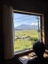 【熊本県・阿蘇】     陶器と珈琲が彩る、阿蘇の隠れ家cafe