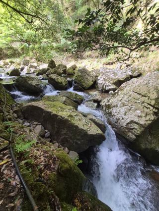 Akame 48 Waterfalls